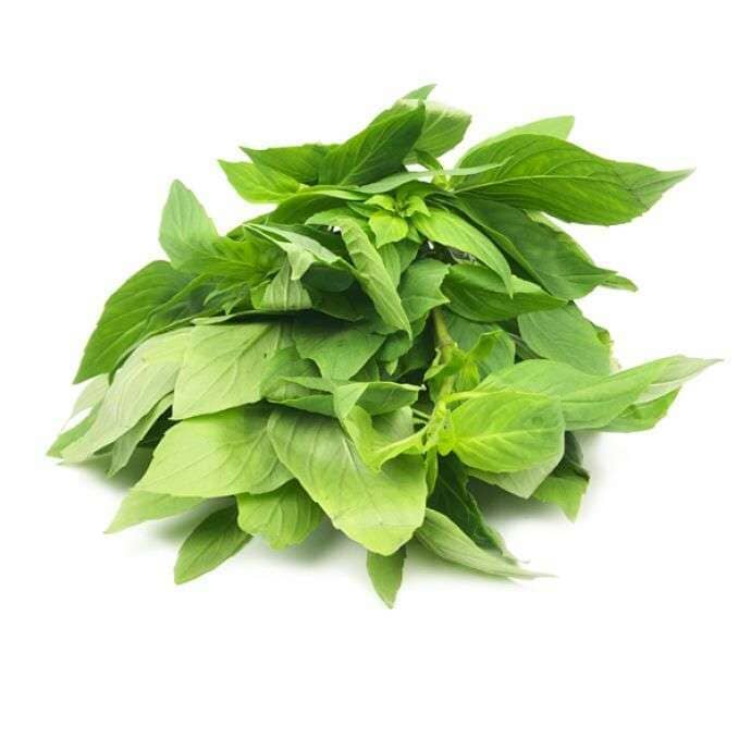 Thai-Basilikum – Exotisches Kraut Gewürz Obstwelt