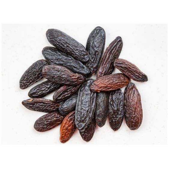 Tonkabohnen – Exotisch-aromatische Verführung für Süßes & Herzhaftes Exoten Obstwelt