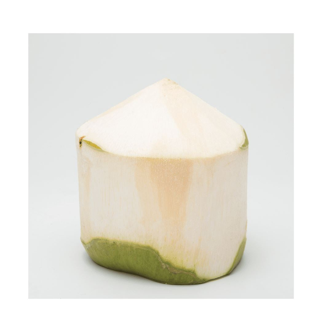 Trinkkokosnuss – Exotischer Genuss für pure Erfrischung Exoten Obstwelt