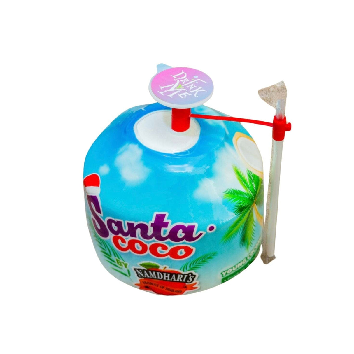 Trinkkokosnuss Santa Coco Exoten Obstwelt