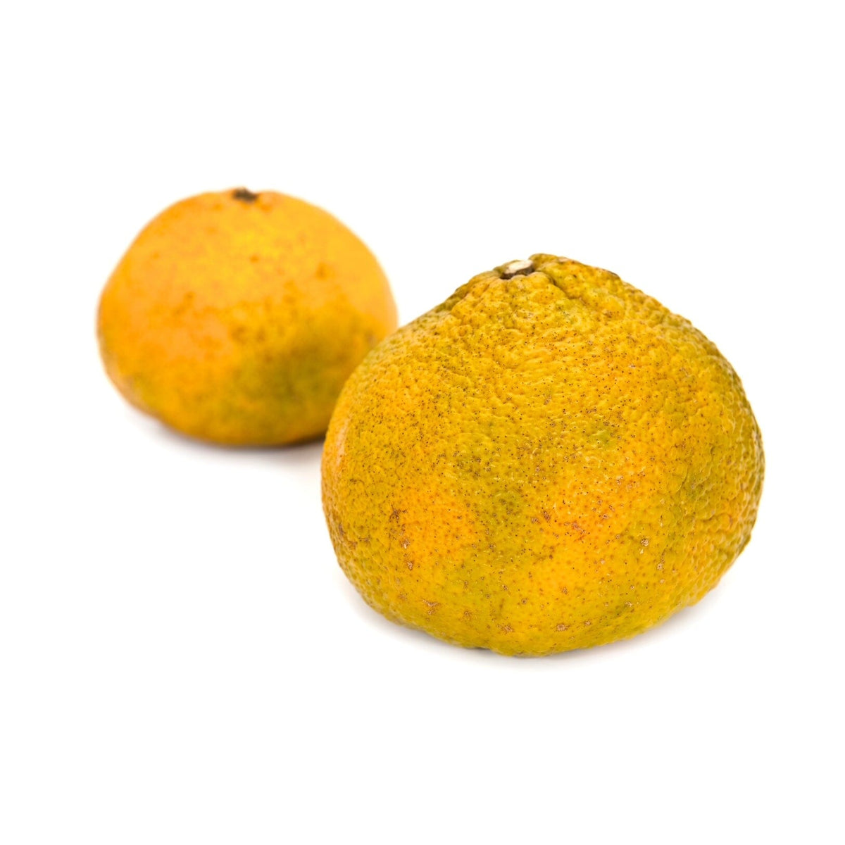 Ugli Frucht – Exotische Zitrusfrucht mit süß-herbem Aroma Exoten Obstwelt