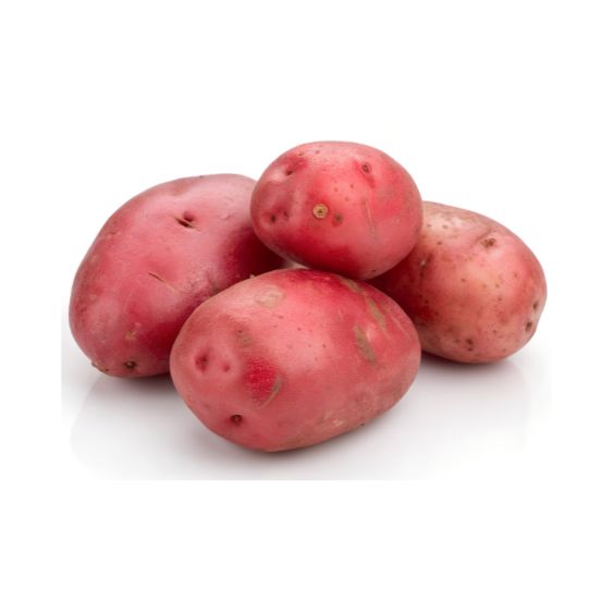 Valery Rote Kartoffeln – Fein-nussig & festkochend genießen Gemüse Obstwelt