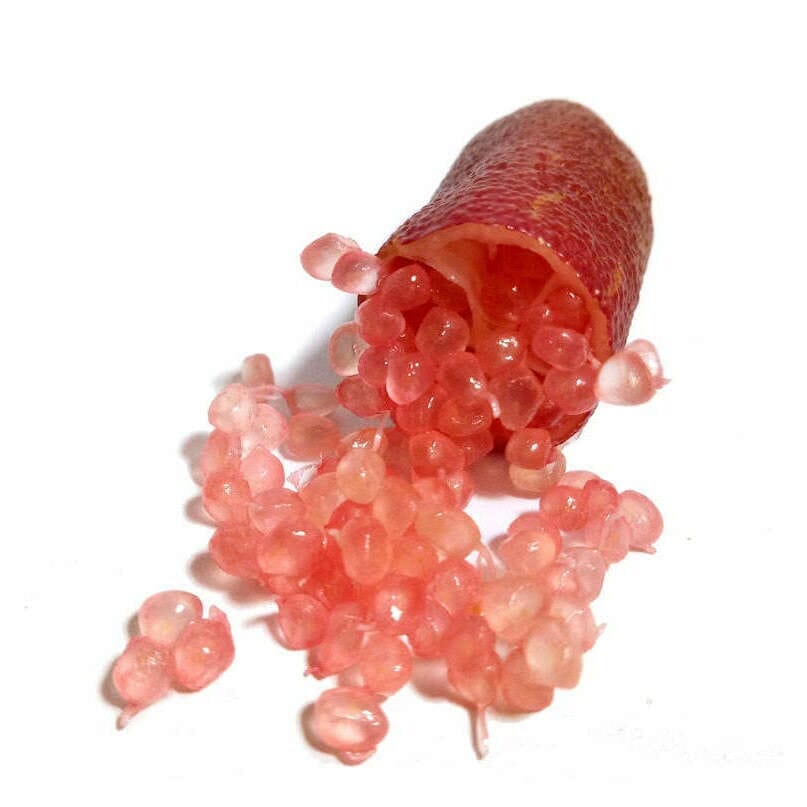 Violette Fingerlimes 'Byron Sunrise' Exoten Obstwelt