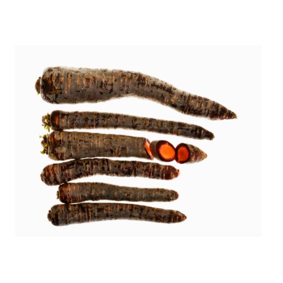 Violette Karotten Purple Haze – Farbspiel mit süßem Biss Gemüse Obstwelt