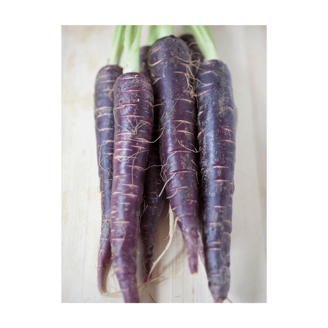 Violette Mini Karotten – Farbige Vielfalt Gemüse Obstwelt
