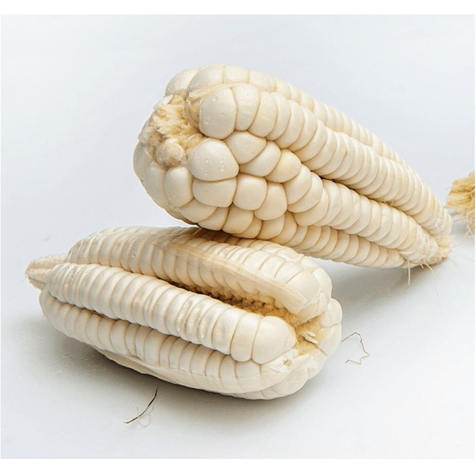 Weißer Mais (Choclo) – Süßer Mais Exoten Obstwelt