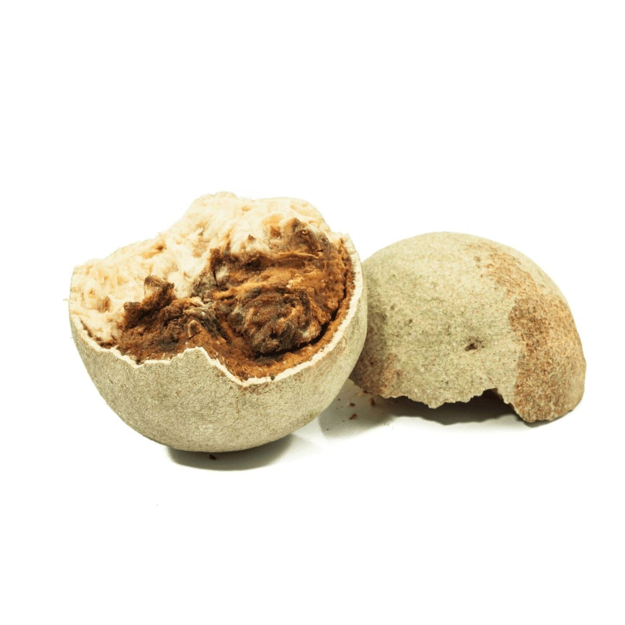 Holzapfel (Wood Apple) Exoten Obstwelt