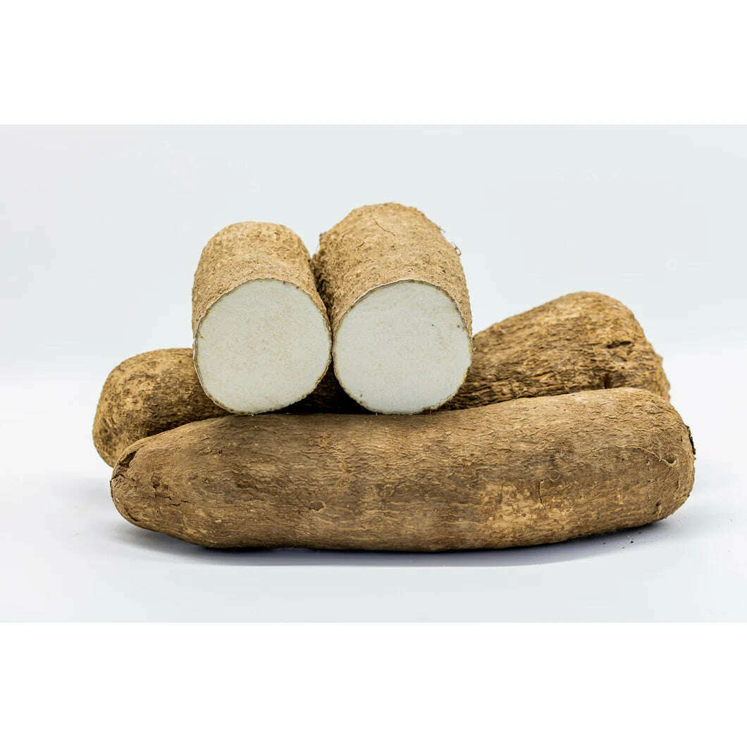Yamswurzel aus Ghana – Exotische Knolle Exoten Obstwelt