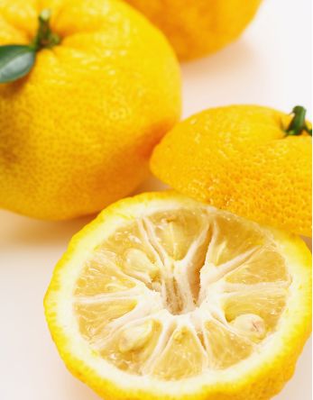 Yuzu Limetten – Japanische Zitrusfrucht mit intensivem Aroma Obst Obstwelt