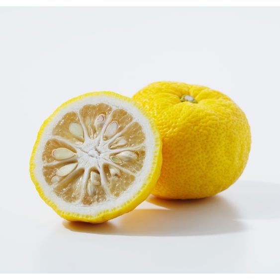 Yuzu Püree von PONTHIER – Japanische Zitruspower für Bar & Küche Fruchtpüree Obstwelt