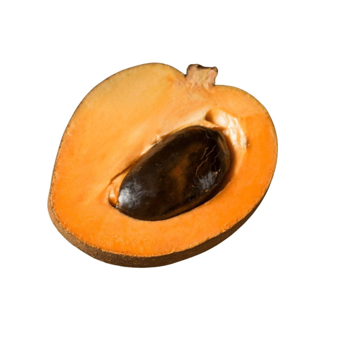 Zapote – Süße, exotische Frucht Exoten Obstwelt