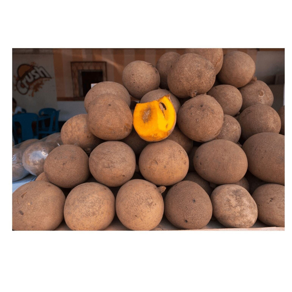 Zapote – Süße, exotische Frucht Exoten Obstwelt