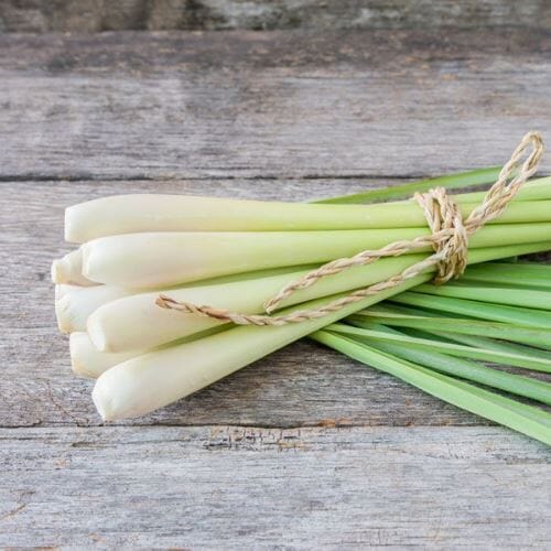 Zitronengras – Exotische Würze Gewürz Obstwelt