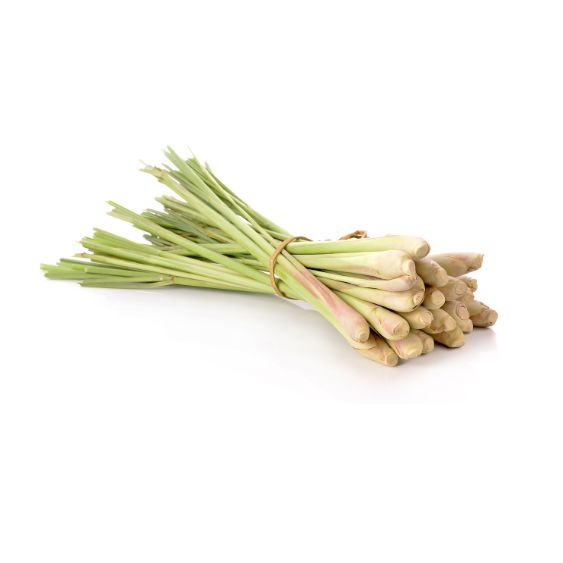 Zitronengras – Frisches Asia-Aroma für Currys, Tees & Suppen Gewürz Obstwelt