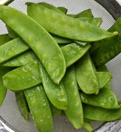 Zuckerschoten – Knackig-süß & zart für Wok, Salat & Dampfgarer Gemüse Obstwelt