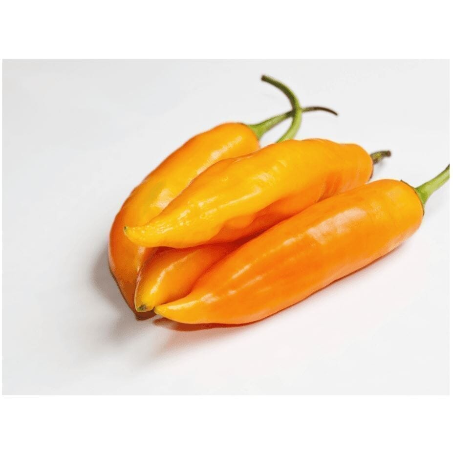 Aji Amarillo Chilis: Peruanische Delikatesse für deine Küche - Obstwelt