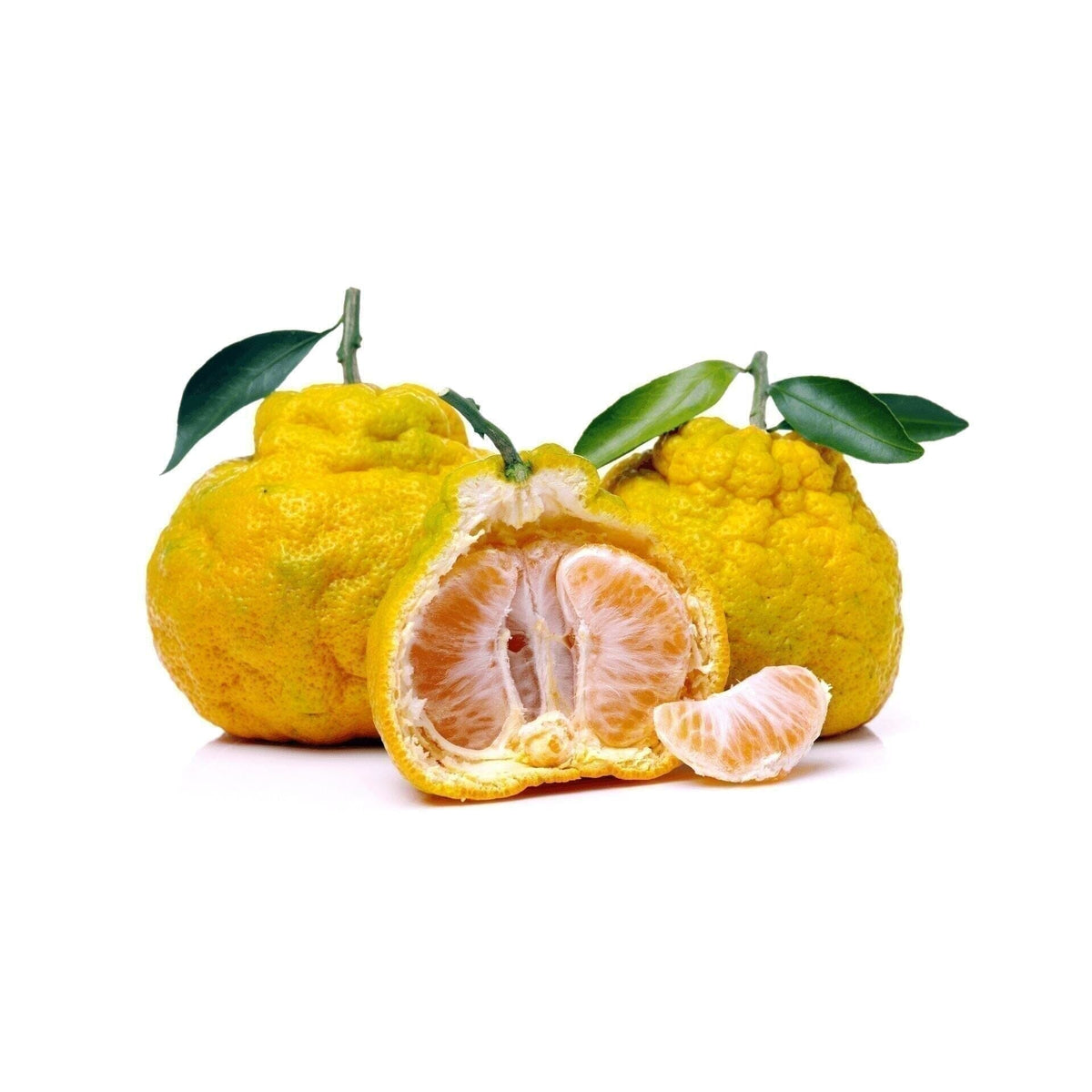 Die Ugli-Frucht - das ungewöhnliche Zitrusabenteuer - Obstwelt