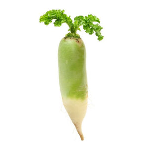 Gebratener grüner Rettich mit Sesam – schnelles Rezept mit feiner Würze