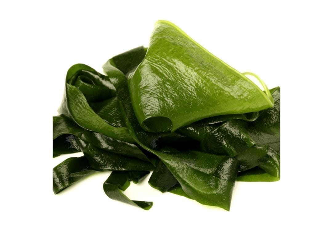 Wakame-Alge Entdecken - Obstwelt