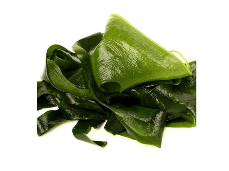 Wakame-Alge Entdecken - Obstwelt
