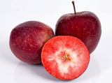 Apfel Red Love – knackiger Apfel mit rotem Fruchtfleisch Obst Obstwelt 