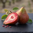 Karmozijn-Birne – rot marmorierte Koch- und Tafelbirne Obst Obstwelt 