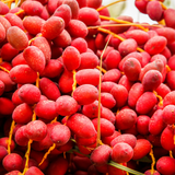 Bahri Dates – Fresh, golden-yellow dates with a mild, sweet aroma