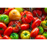 Alte Tomatensorten – bunte Raritäten für Salat und Küche Gemüse Obstwelt 
