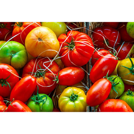 Alte Tomatensorten – bunte Raritäten für Salat und Küche Gemüse Obstwelt 