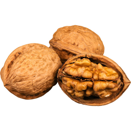 Walnüsse in der Schale für Küche, Gebäck und Snacks Obst Obstwelt 