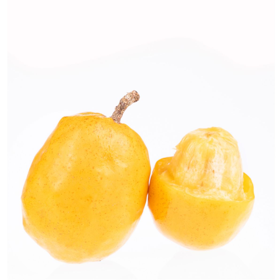 Jobo-Frucht – aromatische Jocote für die tropische Küche Exoten Obstwelt 