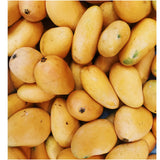Ataulfo-Mango – kleine gelbe Mango mit cremigem Fruchtfleisch Exoten Obstwelt 
