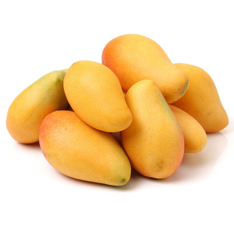 Ataulfo-Mango – kleine gelbe Mango mit cremigem Fruchtfleisch Exoten Obstwelt 