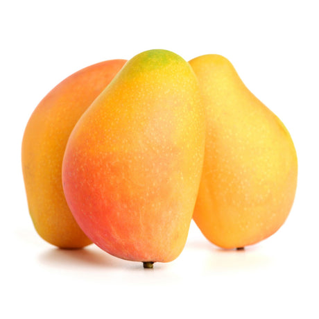 Mango Rosa – brasilianische Mango mit rosa-gelber Schale Exoten Obstwelt 
