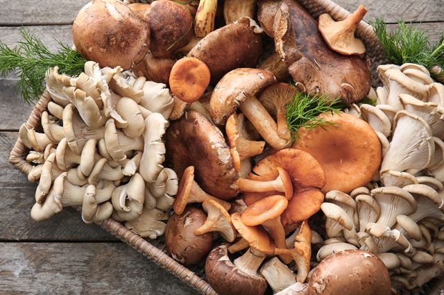 Pilze Pilz Obstwelt