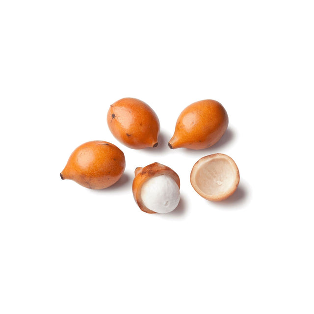 Achachairú – Exotische Früchte aus Bolivien Exoten Obstwelt 