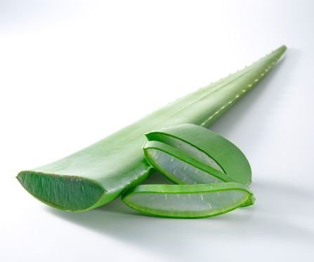 Aufgeschnittenes Aloe Vera Blatt mit transparentem Gel