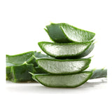 Frische Aloe Vera Blätter mit grüner Schale und klarem Gel