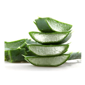 Frische Aloe Vera Blätter mit grüner Schale und klarem Gel