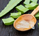 Aloe Vera Blätter – Frisches Gel für Hautpflege, Drinks & mehr Exoten Obstwelt 