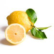 Amalfi Zitrone mit gelber Schale und aromatischem Duft