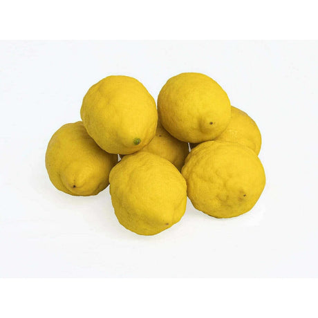 Amalfi-Zitronen – Zitronen von der Amalfiküste Obst Obstwelt 