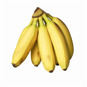 Bei Ganzfrucht-Aufnahme: Apple Bananas als kleine Dessertbananen