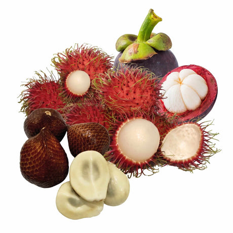 Asien-Trio – kleine Probierbox mit Mangostan, Rambutan & Salak - Obstwelt
