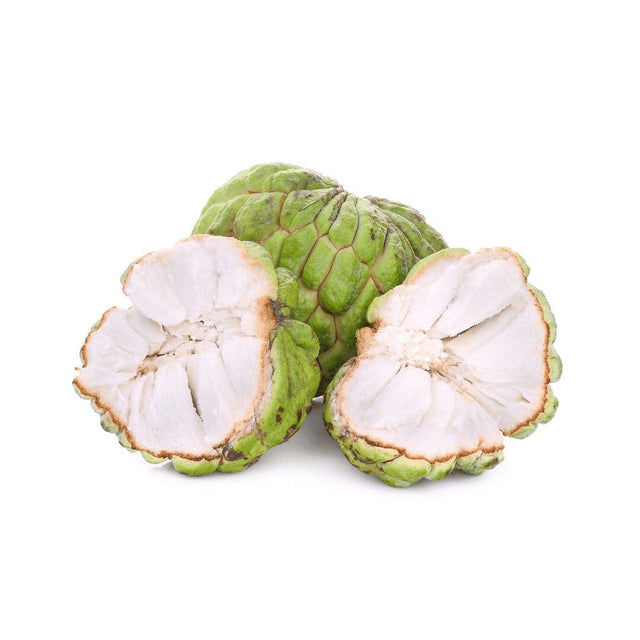Atemoya Exoten Obstwelt 