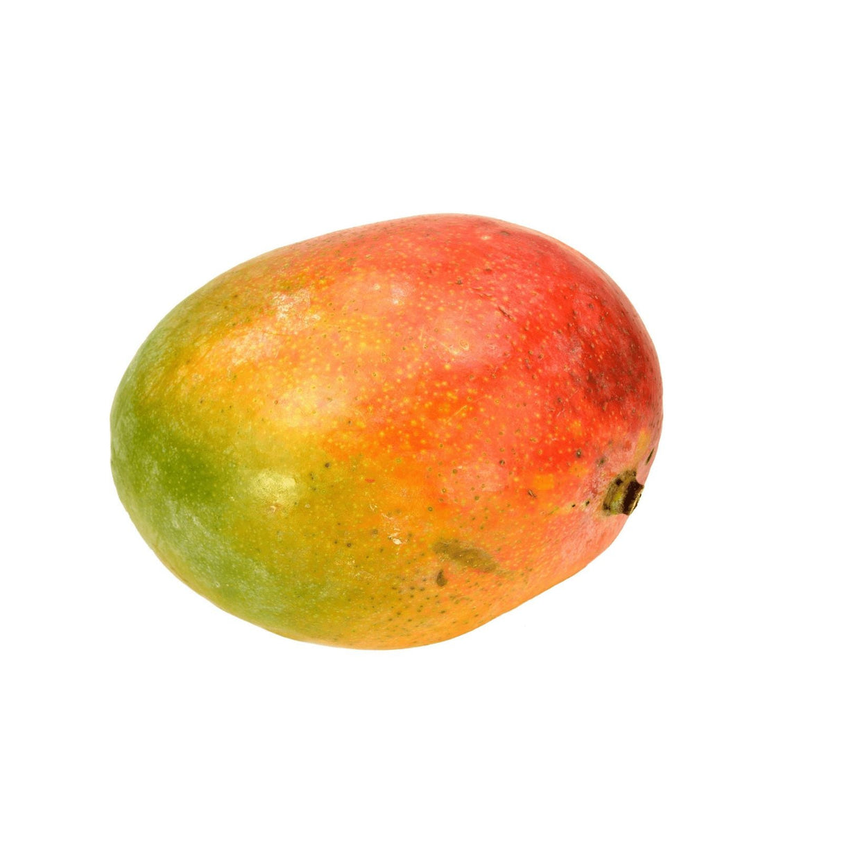 Frühe israelische Mangosorte