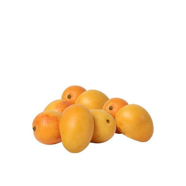 Baby-Mango Exoten Obstwelt 