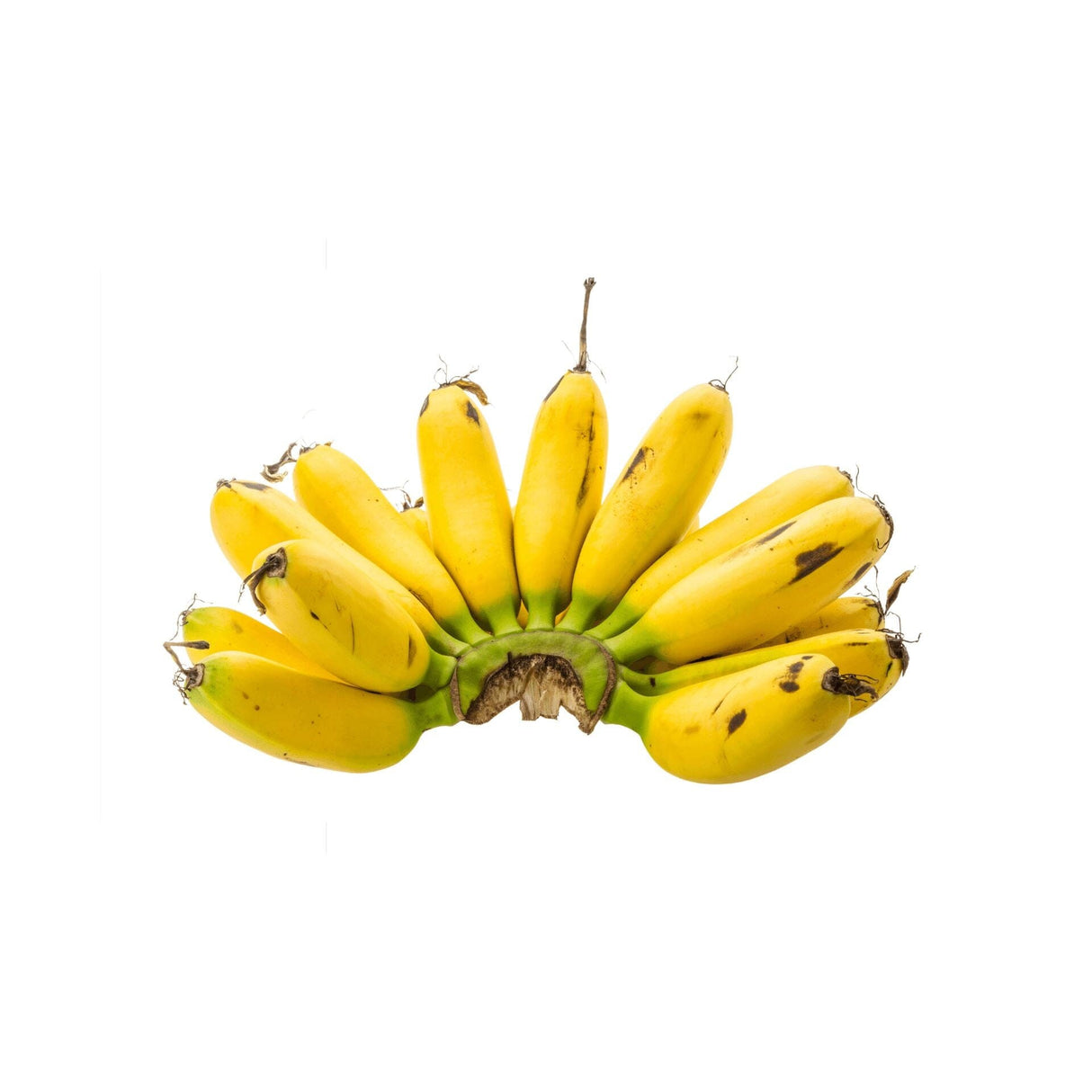 Bananitos Mini-Bananen – Süßer Snack für zwischendurch Exoten Obstwelt 
