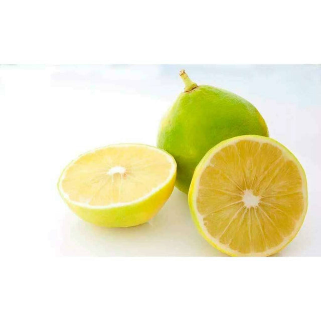 Bergamotte Zitrusfrucht mit gelbgrüner aromatischer Schale