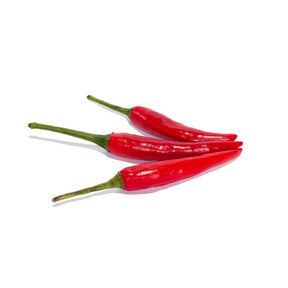 Bird Eye Chili Rot mit kleinen scharfen roten Chilischoten
